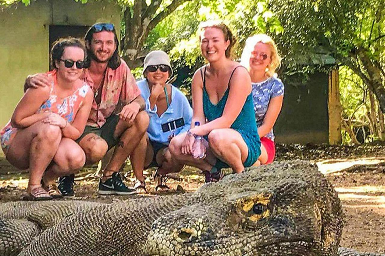 Labuan Bajo : Tour de um dia na Ilha de Komodo com guia localPasseio partilhado de barco lento em Labuan Bajo