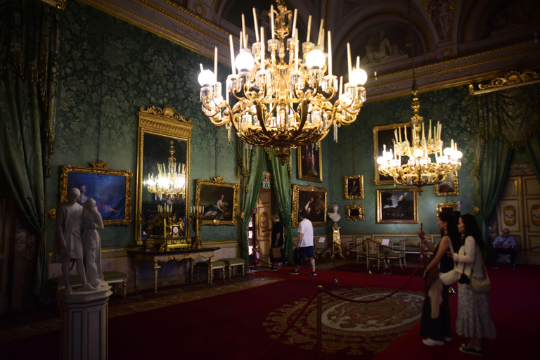 Florence: Pitti Palace 7 Museums Entrance Ticket & eBook