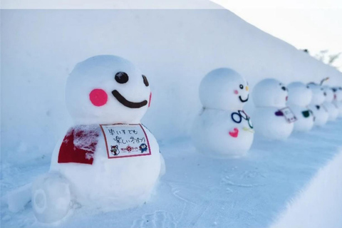 Sapporo: Heiwa-dori Ice Festival Private Day Tour No return to Sapporo
