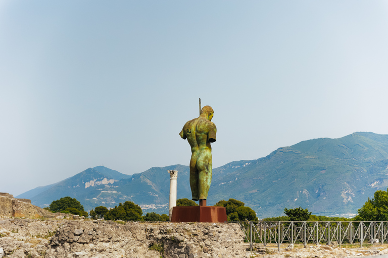 From Rome: Pompeii and Mount Vesuvius Day Trip with LunchPompei &amp; Vesuvius Area Walk with Geologist