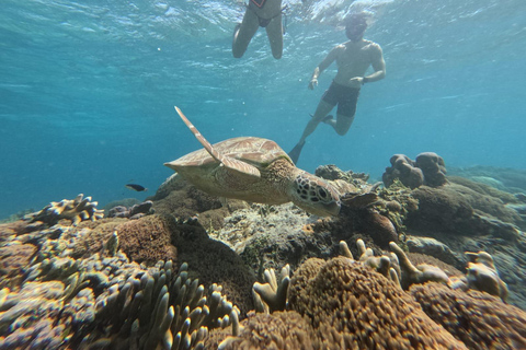 Gili Trawangan: Private Turtle Snorkeling Tour with GoPro 2-Hours Private Snorkeling Tour Turtle & Gopro