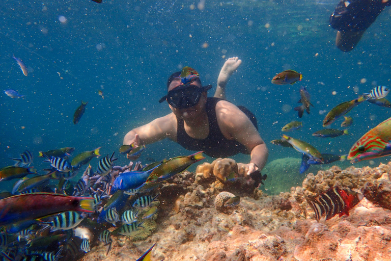 Marsa Alam: Hamata Islands Snorkeling Day Trip with Lunch