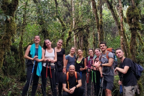 4 jours/3 nuits : Trek dans la jungle Inka jusqu'au Machu Picchu
