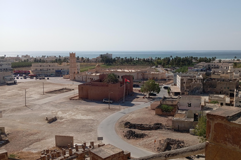 Dhofar: Salalah City and East Salalah Private Tour