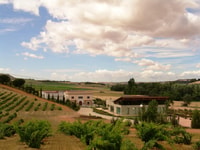 Toro, Piedra Winery Tour y degustaciones de barril de roble - Housity