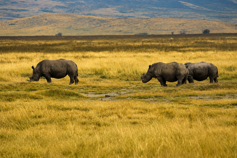 From Arusha: 3-Day Private Northern Tanzania Safari