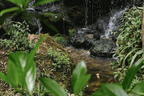 Chengdu Group Tour: Dujiangyan Water System & Mt Qingcheng