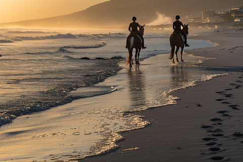 Cape Town: Long Beach Horseback Ride