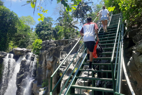 Ubud: Foresta di scimmie, terrazze di riso e cascateUbud: Foresta di scimmie, terrazza di riso e cascata