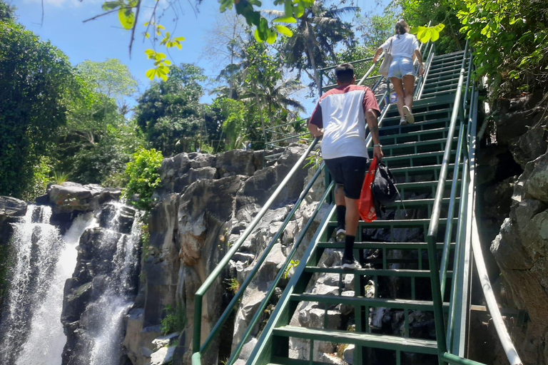 Ubud: Foresta di scimmie, terrazze di riso e cascateUbud: Foresta di scimmie, terrazza di riso e cascata
