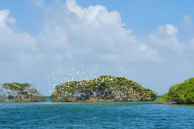 Sainte Rose: Lagoon boat excursion