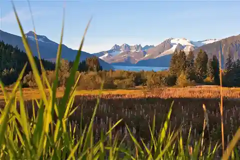 Juneau: Craft Beer and Brewery Tour with Scenic Stops