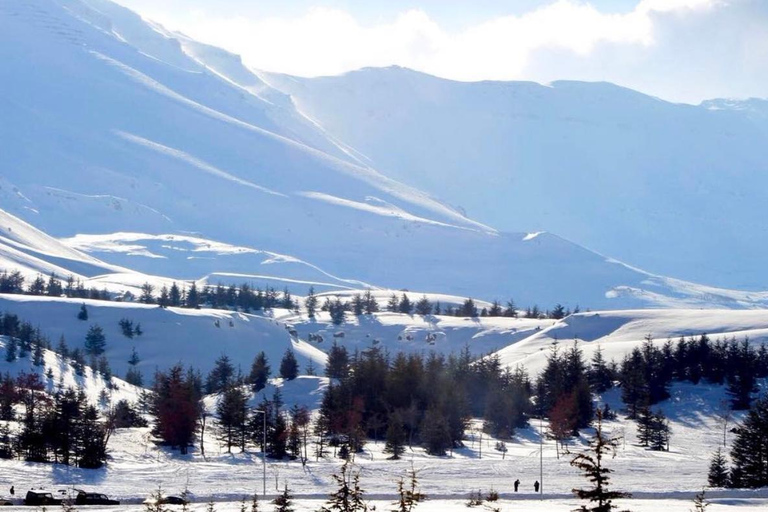 Beirut: Cedars of God, Ehden & Lake Private Tour with Lunch