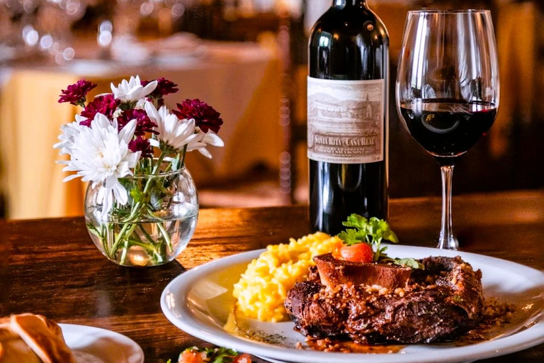 Santiago : visite privée de la ville et dégustation de vins à Viña Santa Rita