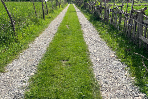 From Tirana: Thethi National Park and Shkoder City 2-Day