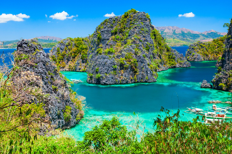 Coron: Apo Reef and Busuanga Freediving Expedition Tour