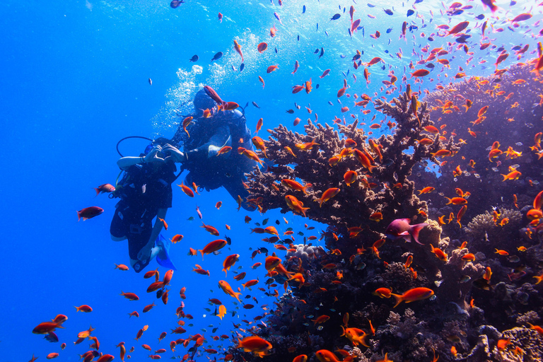 Hurghada: Luxury Red Sea Cruise with Snorkel, Dive & Buffet Snorkeling with Lunch & Transfers
