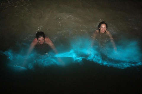 Falmouth Luminous Lagoon Night Tour | Jamaica Glow Falmouth Luminous Lagoon Night Tour - From Montego Bay