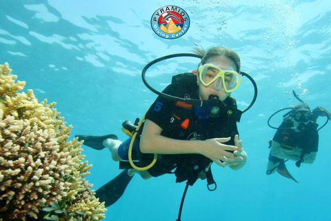 From Sharm El-Sheikh: Ras Mohamed Stingray Station Boat Trip