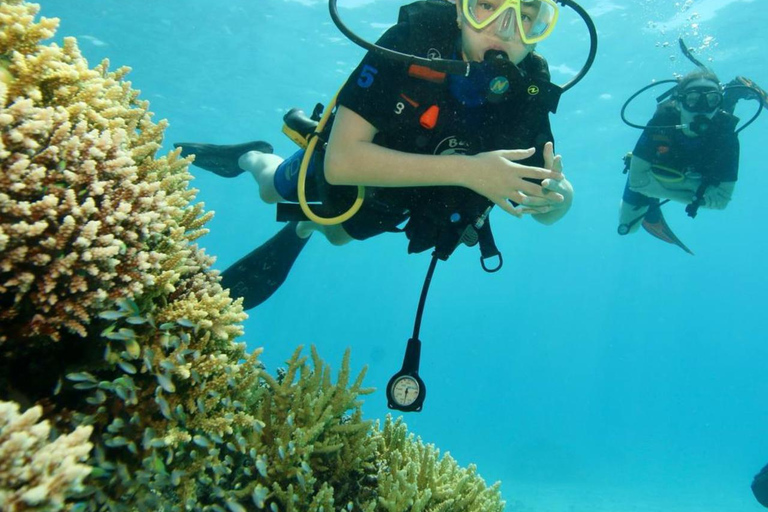 Von Sharm El-Sheikh aus: Ras Mohamed Stingray Station Bootsfahrt