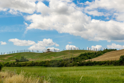 Florence: Monteriggioni & Val d'Orcia Optional Wine Tasting Classic Option in Portuguese