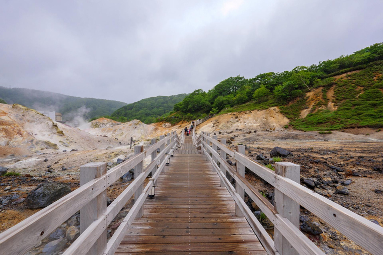 Sapporo: Hell Valley, Oyunuma and Dai-ichi Takimotokan Trip