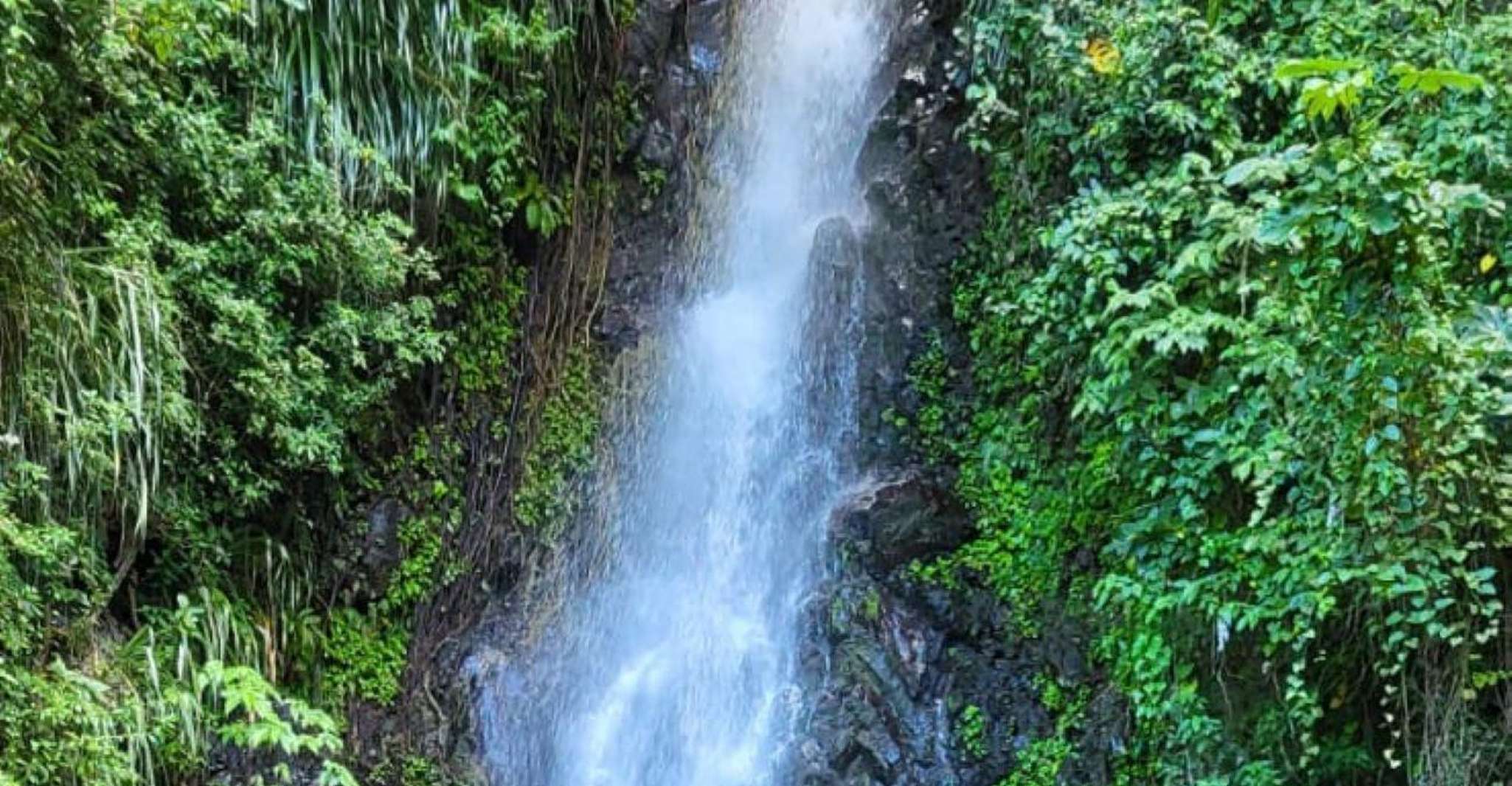 St. Vincent, Leeward Island Tour with Dark View Falls - Housity