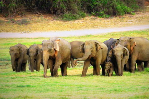 7- Days Sri Lanka Private Tour Package with 4*Hotels & Meals