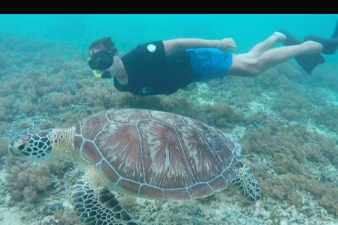 Da Gili Trawangan : Tour di gruppo di snorkeling 3 isole Gili