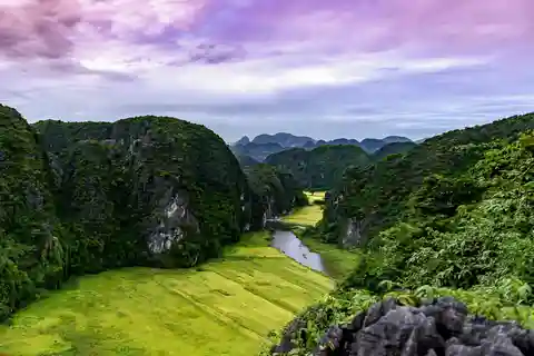 Ninh Binh Daily: Hoa Lu, Mua Cave, Tam Coc, Bike & Swimming