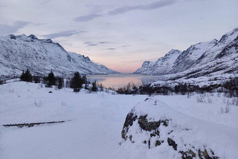 Tromsø: Excursión Kvaløya, and Sommarøy