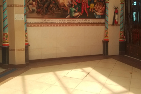 Mombasa: Private City Tour with street food and Haller Park