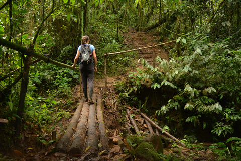 Archidona: Amazonas Allt ingår 4d/3n