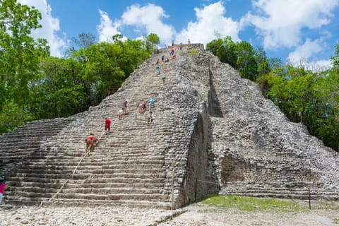 Cancun: Tulum & Coba Adventure, Cenote & Lunch all inclusive