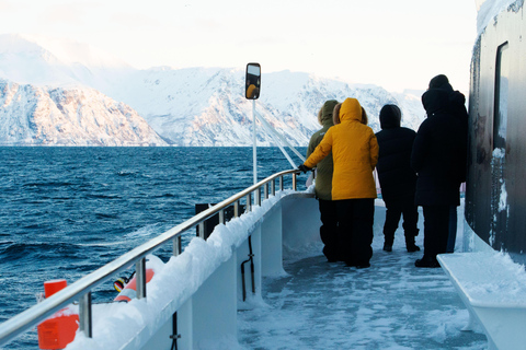 Tromsö: Fjordkryssning i arktiska landskap