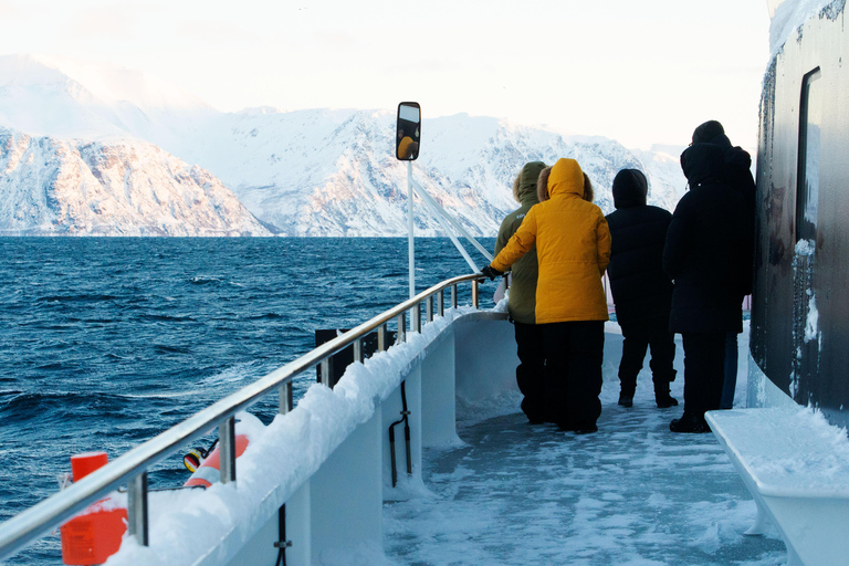 Tromsø: Crociera nei fiordi artici nei paesaggi polari