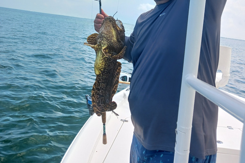 Sarasota Florida: Skyway Fishing ToursBegib dich auf ein aufregendes Abenteuer mit Skyway Fishing Tours