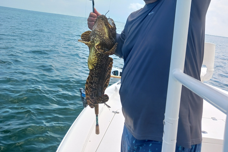 Sarasota Florida: Skyway Fishing ToursBegib dich auf ein aufregendes Abenteuer mit Skyway Fishing Tours