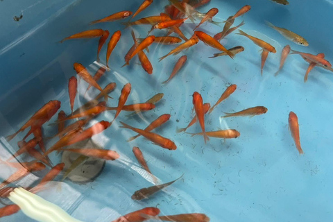 Nara: Descubra o encanto dos peixes dourados de Koriyama - 2 horas