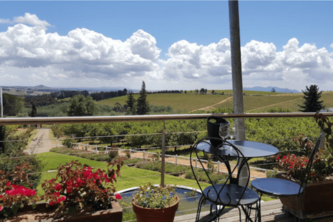 Le Cap : excursion d&#039;une journée à Stellenbosch, Franschhoek et Paarl Wine