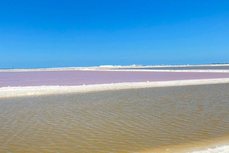 Natuurbelevenis Rio Lagartos en Las Coloradas.