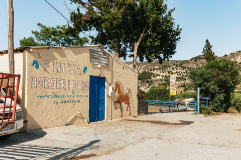 Heraklion: Finikia Horse Riding Tour with Lunch or Dinner