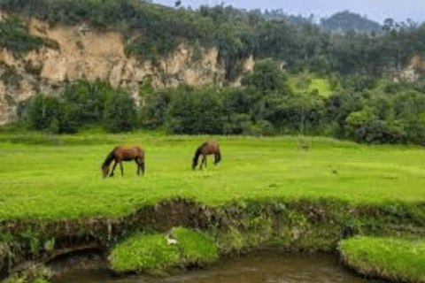 Full-Day Wenchi Crater Lake Tour from Addis Ababa