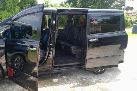 Jamaica: Private Custom Sightseeing Tour with Local Guide