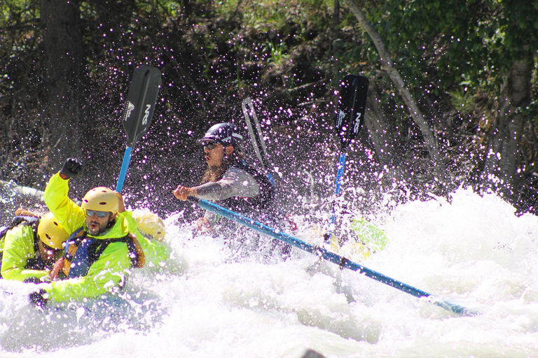 Kicking Horse River: Halbtägige Einführung in das Wildwasser-Rafting