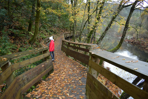 From Porto: Guided tour of the 516 Arouca Suspension Bridge and Paiva Walkways From Porto: Guided Tour of the 516 Arouca Suspension Bridge and Paiva Walkways