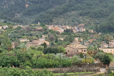 A cidade de Fornalutx e as caminhadas até à quinta de oliveiras da montanha