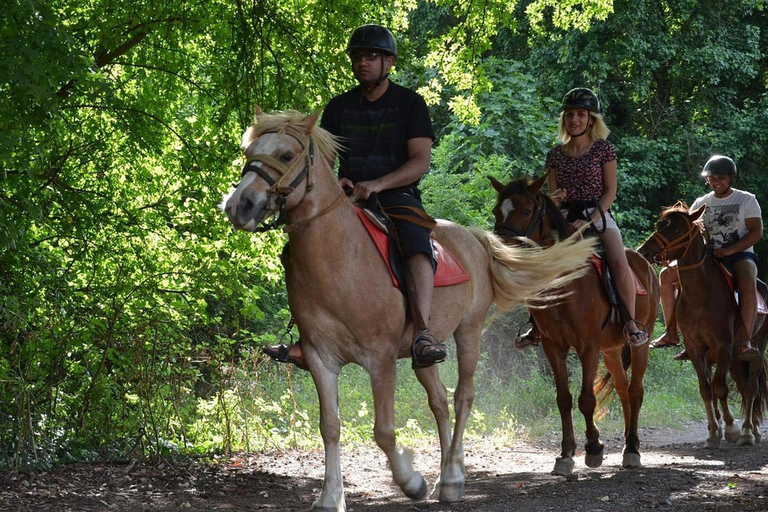 Marmaris: Guided Horseback Riding Tour with Hotel Pickup Horseback Riding Experience with Hotel Transfers