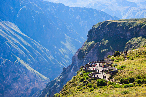 Escursione di un giorno al Canyon del Colca + trasferimento a Puno con i pasti