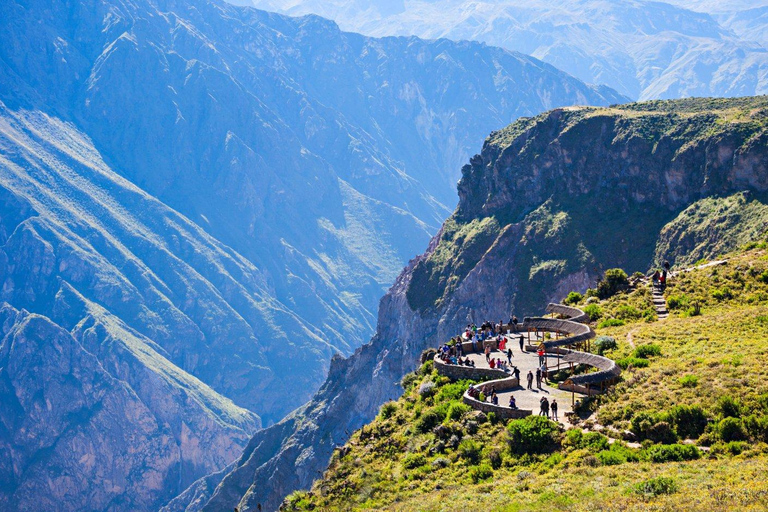 Tagestour zum Colca Canyon + Transfer nach Puno mit Mahlzeiten